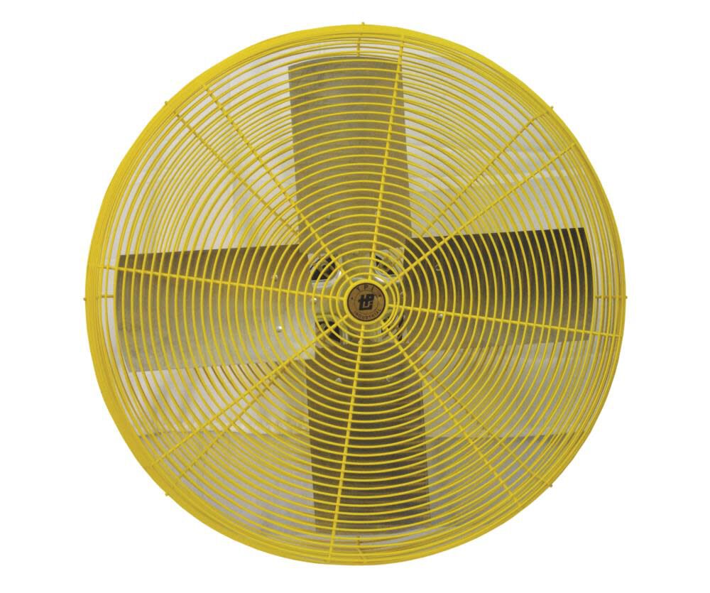 TPI Corporation 30In 1/2HP Heavy Duty Air Circulator Head