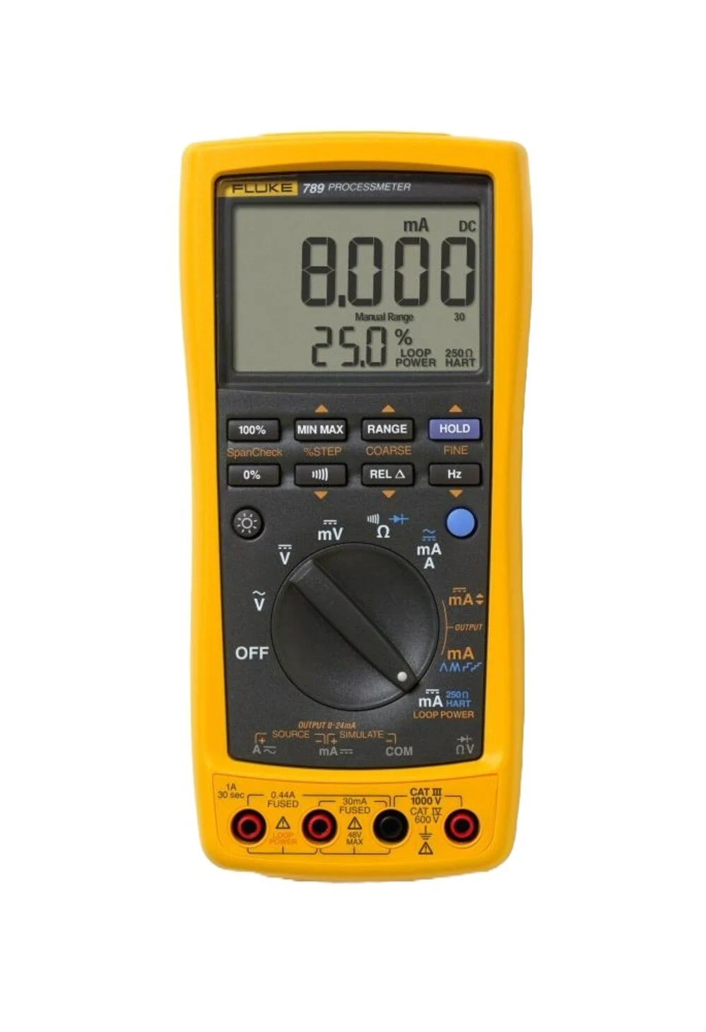 Fluke Processmeter