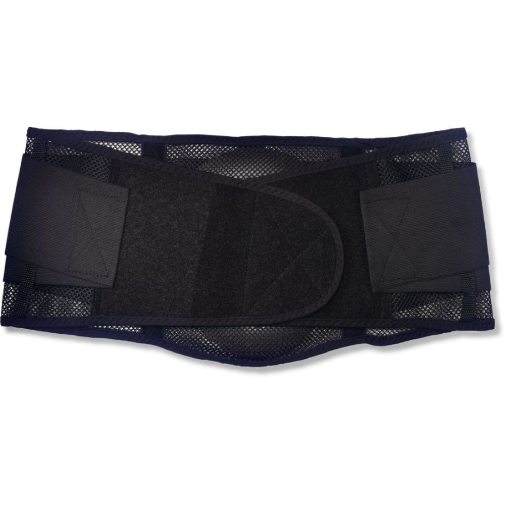 Ergodyne Proflex 1051 Back Support
